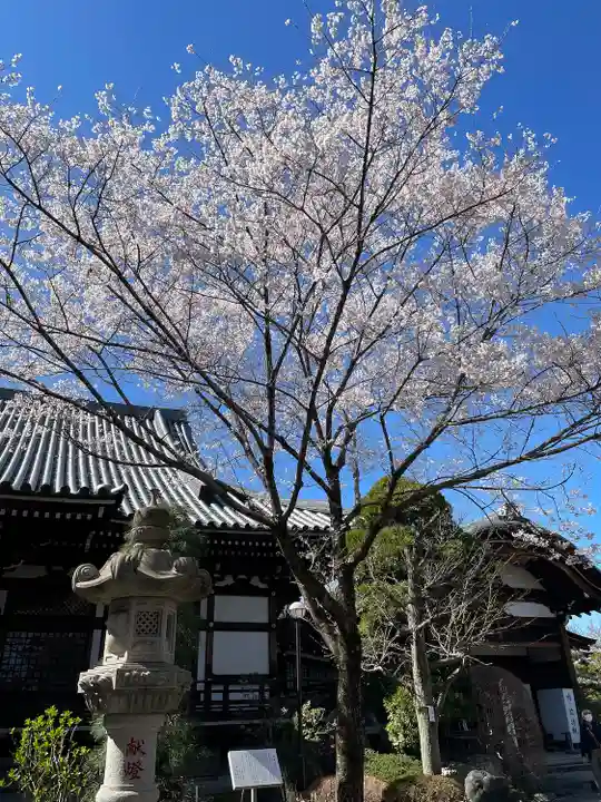 高幡不動尊 金剛寺(東京都)