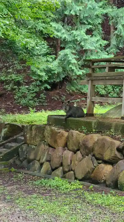 飛騨東照宮(岐阜県)