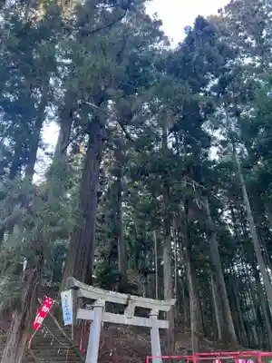 大宮温泉神社の鳥居