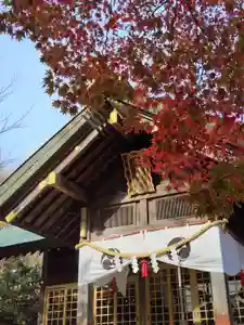 厚別神社(北海道)(2023年11月05日(日) 10時55分01秒投稿)