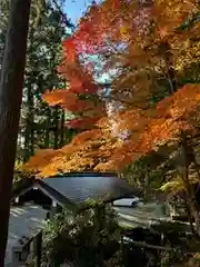 日枝神社(岐阜県)