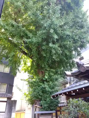 本能寺(京都府)