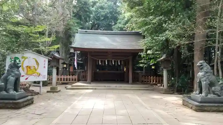 駒木諏訪神社の本殿・本堂
