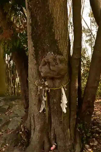 滝宮天満宮(香川県)