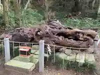 泉神社(茨城県)