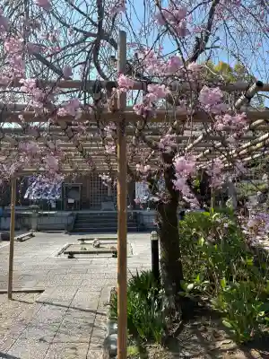 後白河院御聖蹟　法住寺の{uncategorized: "未分類", other: "その他", undefined: "問題あり", building: "その他建物", grave: "お墓", sacred_gate: "鳥居", guardian: "狛犬", statue: "像", buddha: "仏像", history: "歴史", nature: "自然", garden: "庭園", animal: "動物", pagoda: "塔", temizu: "手水舎", mountain_gate: "山門・神門", sanctuary: "本殿・本堂", subordinate: "末社・摂社", art: "芸術", scenery: "景色", jizo: "地蔵", ema: "絵馬", goshuin: "御朱印", omikuji: "おみくじ", items: "授与品その他", amulet: "お守り", goshuincho: "御朱印帳", eats: "食事", festival: "お祭り", votive_dance: "神楽", shichigosan: "七五三参", wedding: "結婚式", experience: "体験その他", initially: "初詣", around: "周辺", anti_infection: "感染症対策"}
