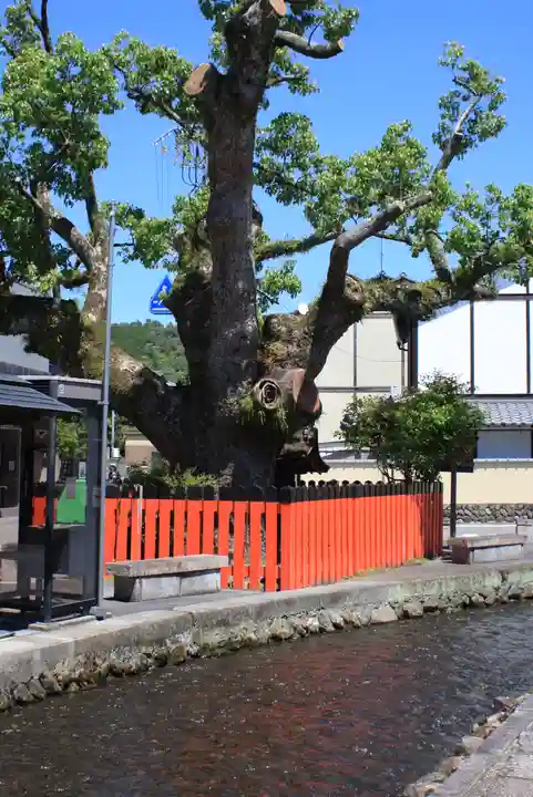 藤木社(賀茂別雷神社末社)(京都府)