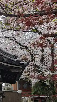 壬生寺(京都府)