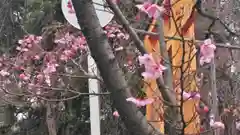 平野神社の自然