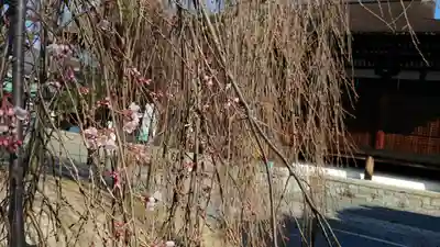 大報恩寺（千本釈迦堂）のその他建物