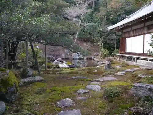 浄住寺の庭園