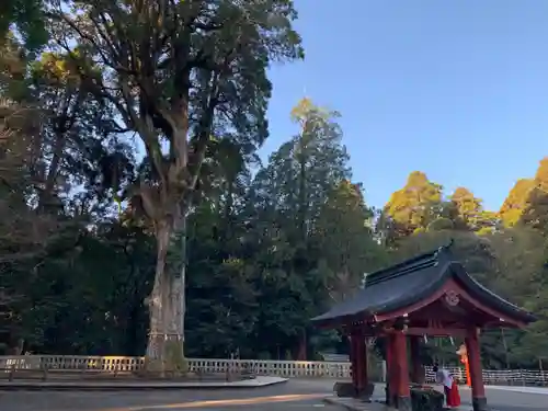 霧島神宮の建物その他