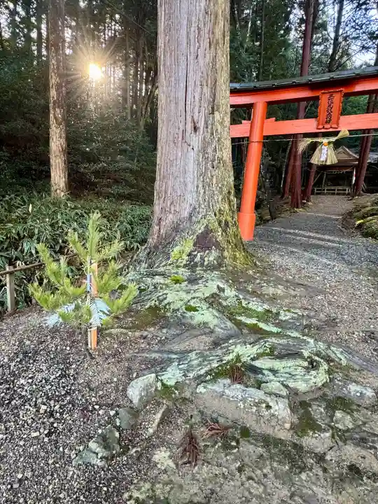 九頭神社(京都府)
