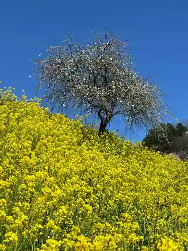 曹洞宗 永松山 龍泉寺(福島県)