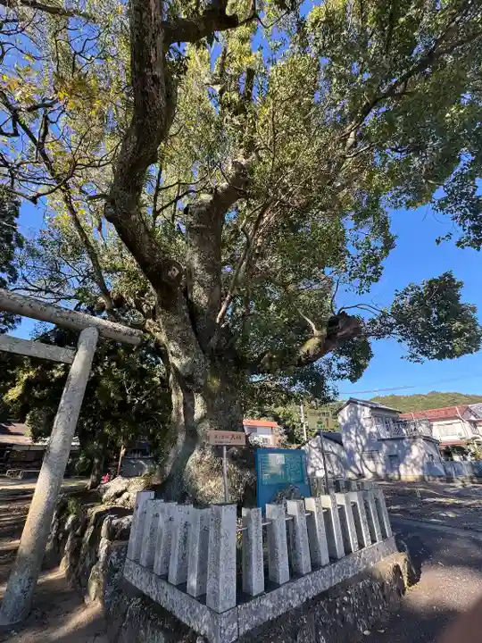熊野三所大神社(浜の宮王子)(和歌山県)