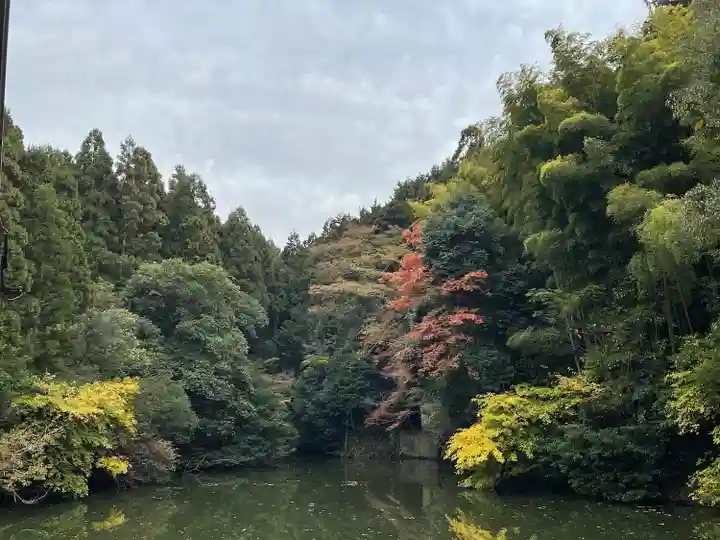 伏見稲荷大社(京都府)