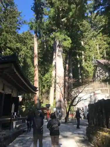 日光二荒山神社の自然