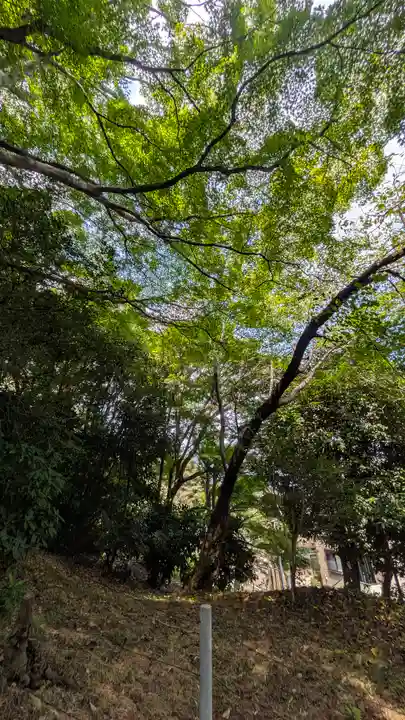 一様院(京都府)