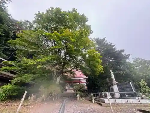 日輪寺(茨城県)