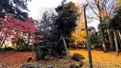 横山神社(滋賀県)