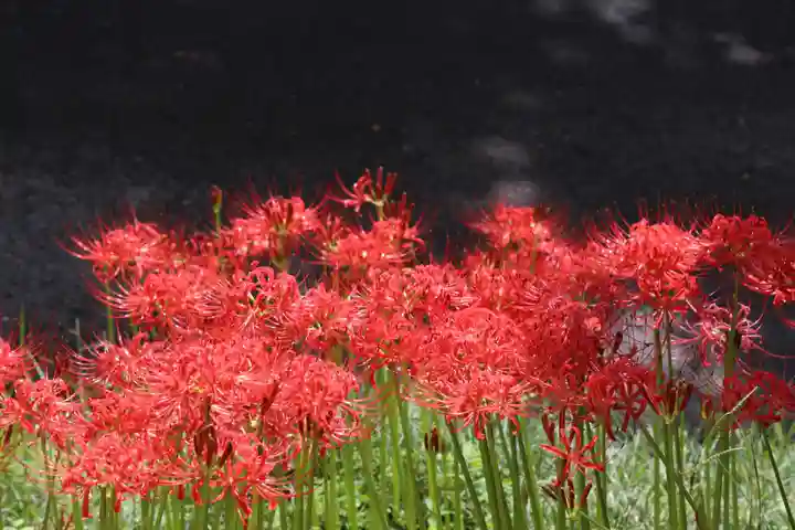 国宝 大法寺(長野県)