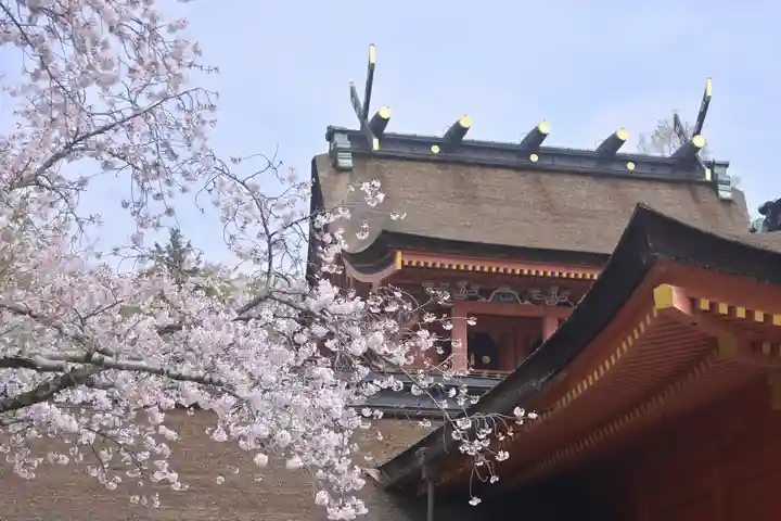 富士山本宮浅間大社(静岡県)