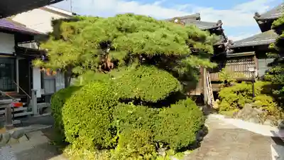 明白院(東京都)