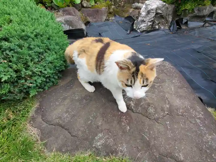 浄光院(栃木県)