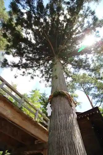 身曾岐神社(山梨県)