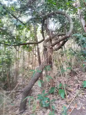 稲荷神社の自然