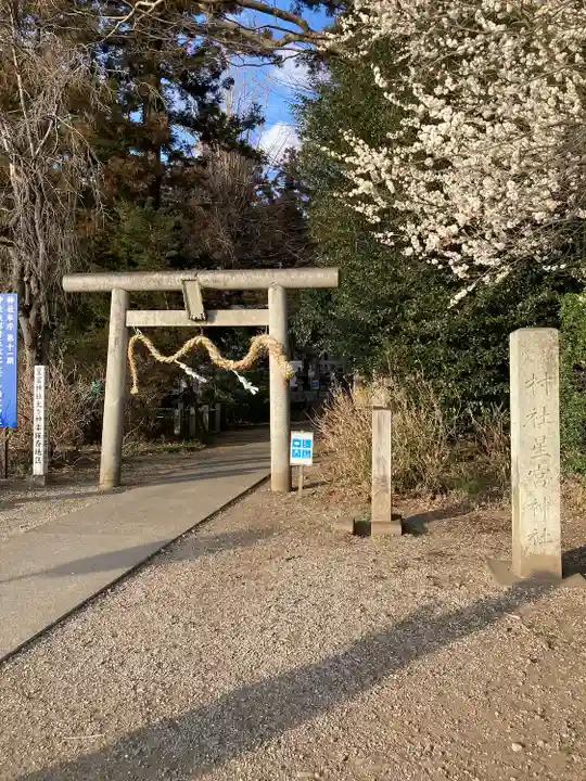 下野 星宮神社(栃木県)