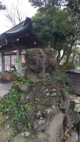 菊田神社の狛犬