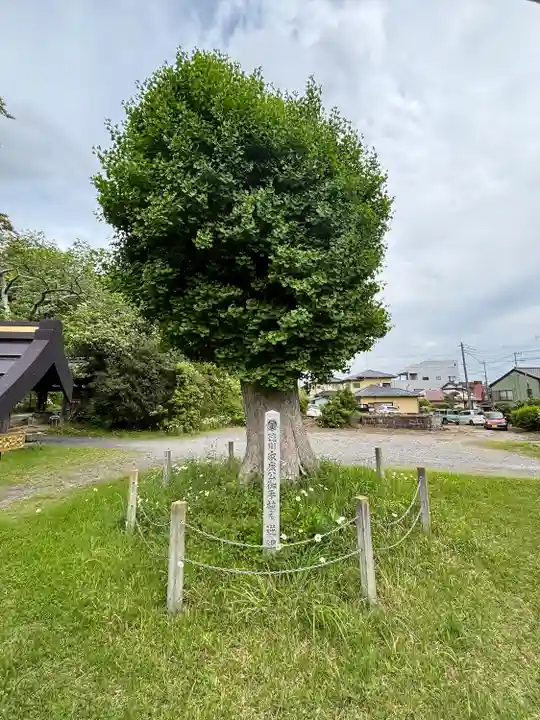 大念寺(茨城県)