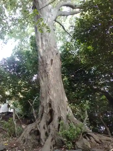 八幡神社（上の宮）(神奈川県)