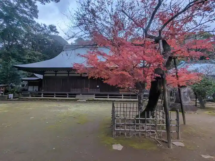 早雲寺の本殿・本堂