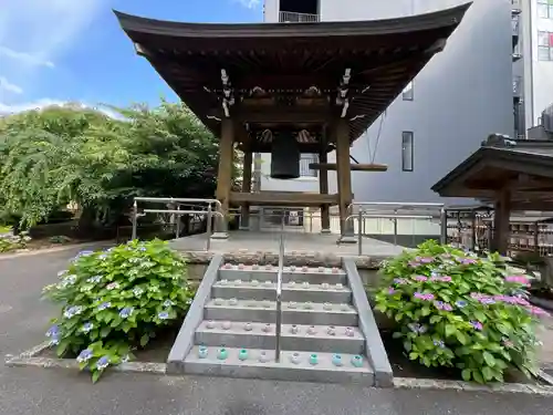 日蓮宗　浄運寺(東京都)