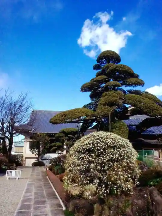 松應寺(東京都)