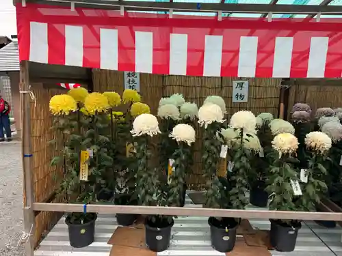 諏訪大社(長野県)