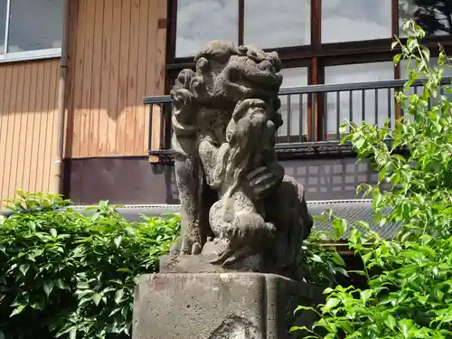 高円寺天祖神社の狛犬