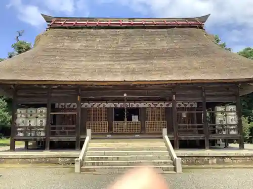 天津神社の本殿