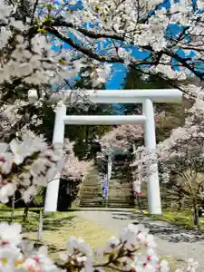 土津神社|こどもと出世の神さまの鳥居(2023年04月20日(木) 15時29分25秒投稿)
