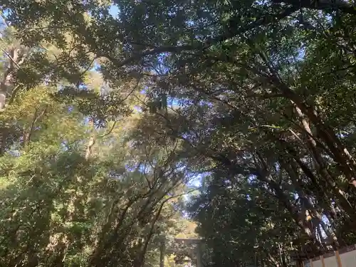 熱田神宮の自然