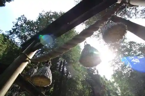 武蔵二宮 金鑚神社(埼玉県)