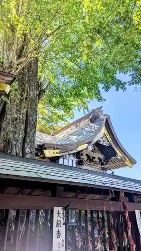 麻賀多神社(千葉県)