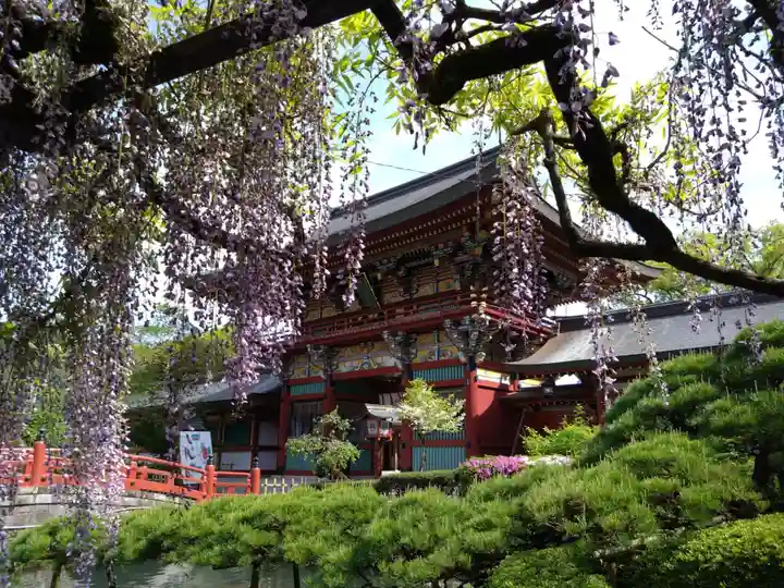 祐徳稲荷神社(佐賀県)
