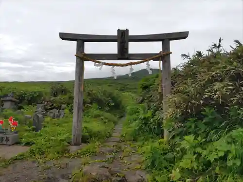 御田原神社の鳥居