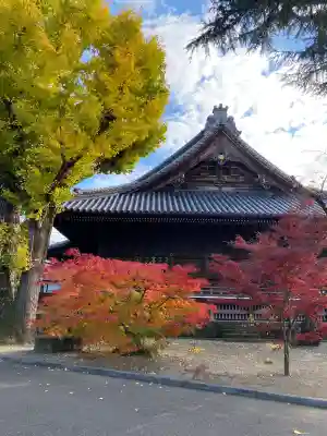 寛永寺(根本中堂)(東京都)