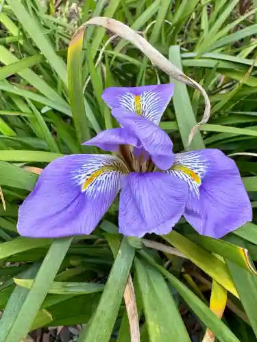 大蓮寺の{uncategorized: "未分類", other: "その他", undefined: "問題あり", building: "その他建物", grave: "お墓", sacred_gate: "鳥居", guardian: "狛犬", statue: "像", buddha: "仏像", history: "歴史", nature: "自然", garden: "庭園", animal: "動物", pagoda: "塔", temizu: "手水舎", mountain_gate: "山門・神門", sanctuary: "本殿・本堂", subordinate: "末社・摂社", art: "芸術", scenery: "景色", jizo: "地蔵", ema: "絵馬", goshuin: "御朱印", omikuji: "おみくじ", items: "授与品その他", amulet: "お守り", goshuincho: "御朱印帳", eats: "食事", festival: "お祭り", votive_dance: "神楽", shichigosan: "七五三参", wedding: "結婚式", experience: "体験その他", initially: "初詣", around: "周辺", anti_infection: "感染症対策"}