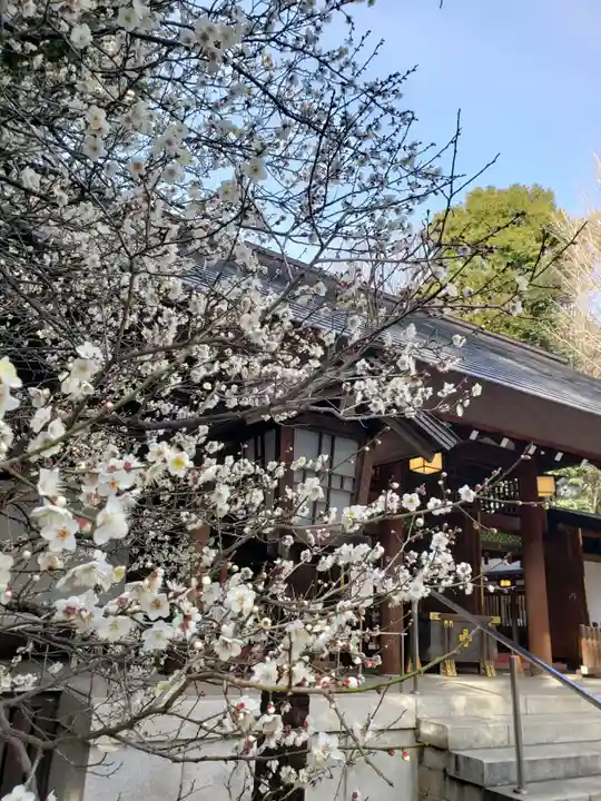 乃木神社の自然