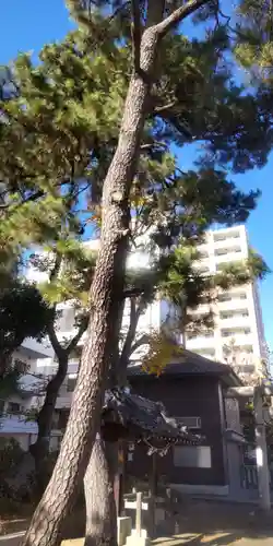竹塚神社(東京都)
